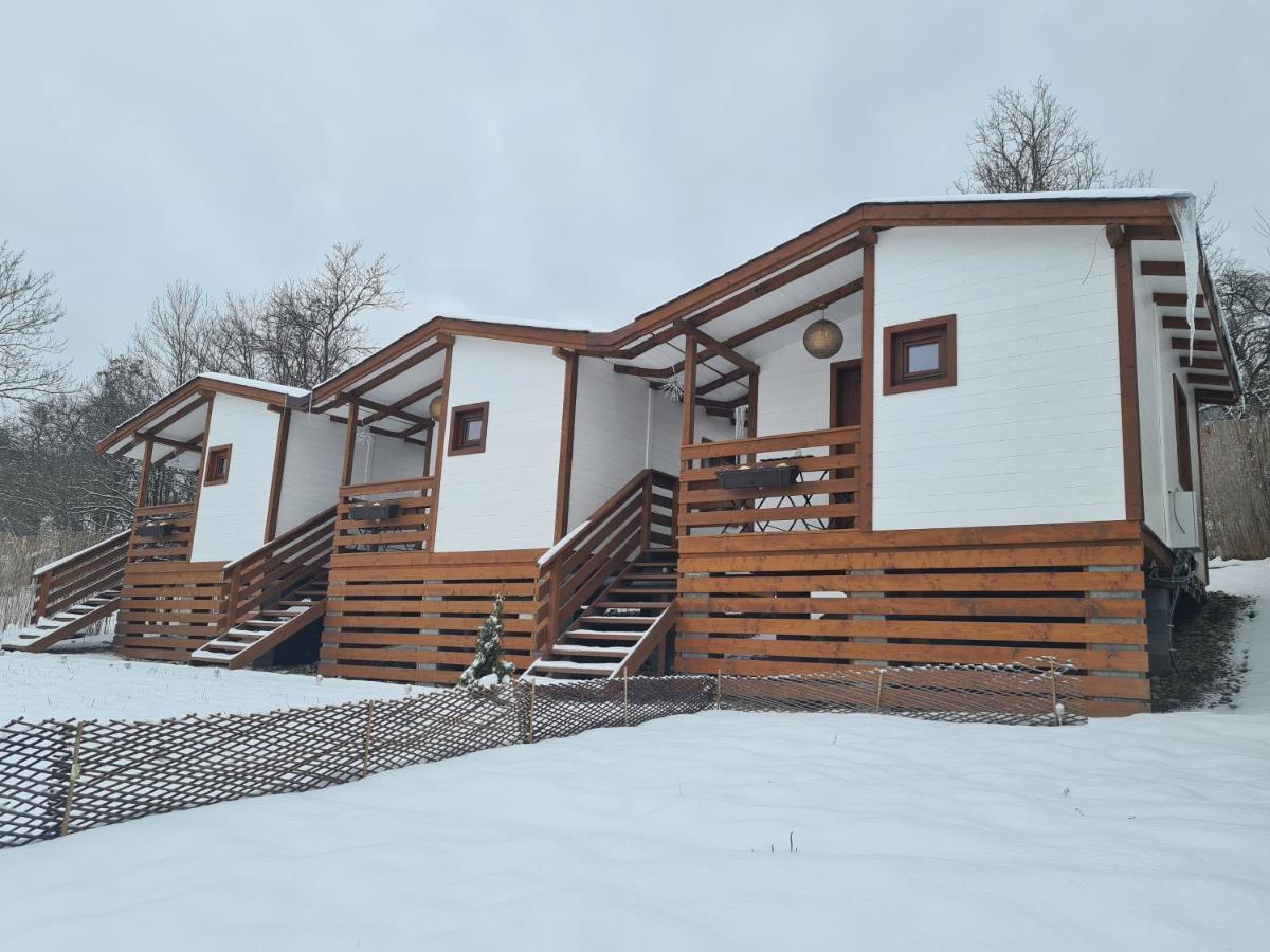 Hotel Flori Haus Saschiz Exterior foto